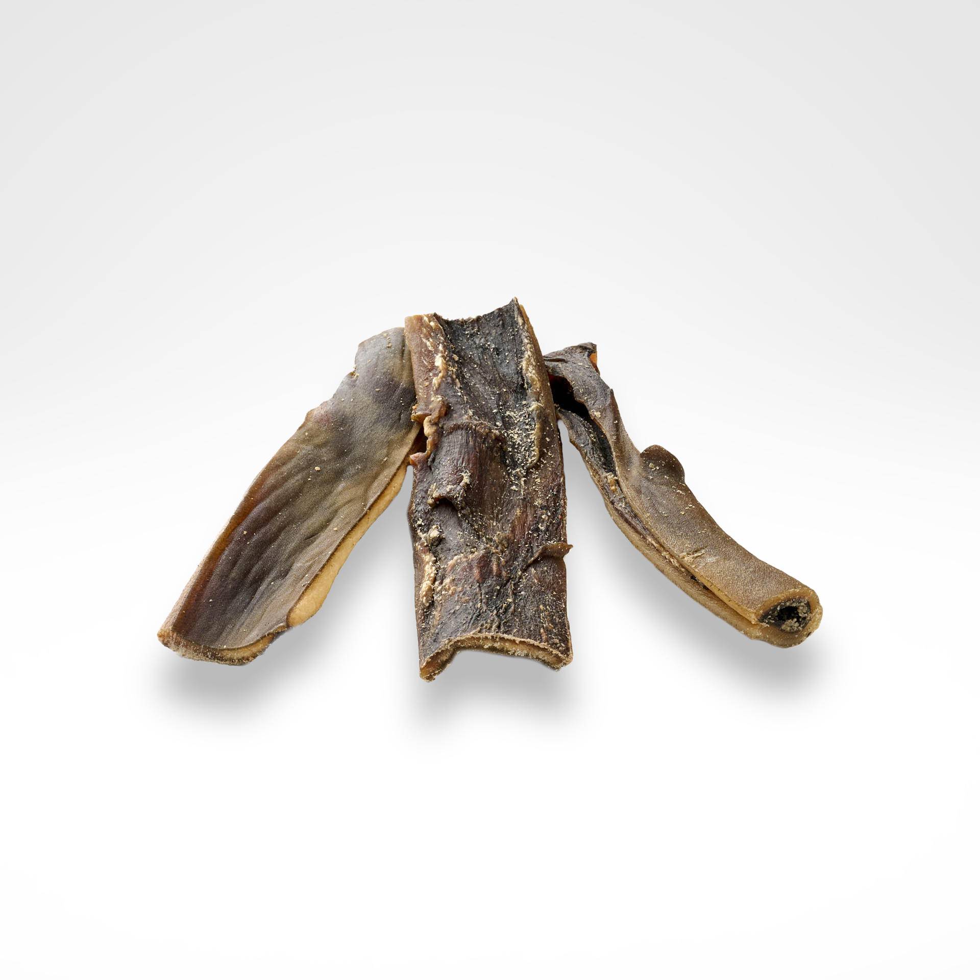 Fettarmer Kausnack aus Kamel-Kopfhaut für lange Kaufreude für Hunde ab 10,99€ Fettarmer Kausnack aus Kamel-Kopfhaut für lange Kaufreude für Hunde ab 10,99€ von dogisfaction