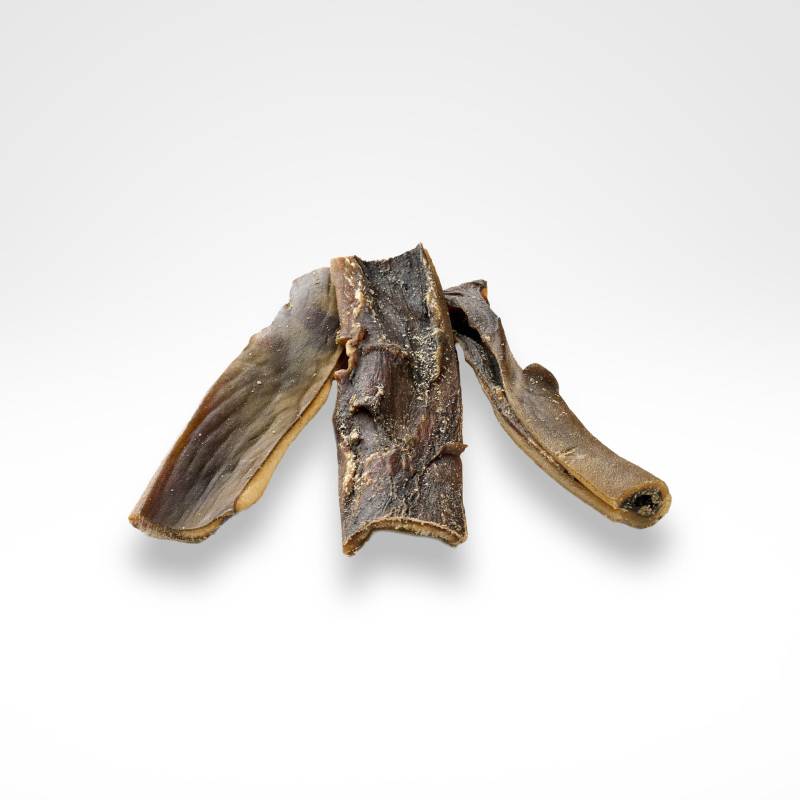 Fettarmer Kausnack aus Kamel-Kopfhaut für lange Kaufreude für Hunde ab 48,69€ Fettarmer Kausnack aus Kamel-Kopfhaut für lange Kaufreude für Hunde ab 48,69€ von dogisfaction