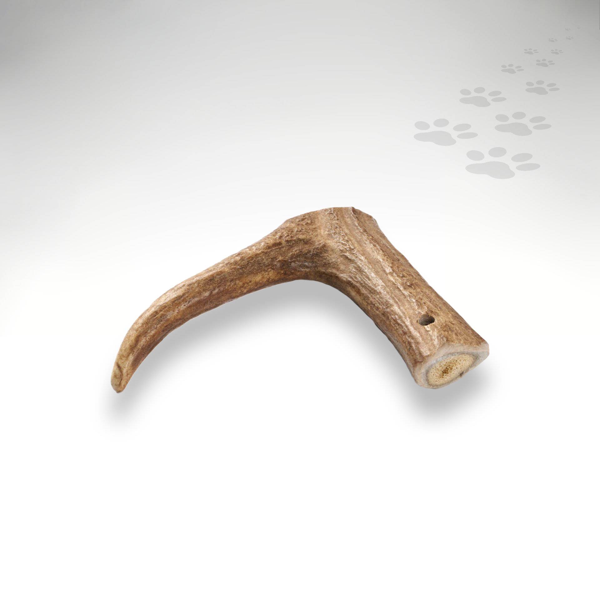 Hirschgeweih für Hunde - Naturbelassener und langanhaltender Kauspaß mit hohem Mineraliengehalt ab 37,59€ Hirschgeweih für Hunde - Naturbelassener und langanhaltender Kauspaß mit hohem Mineraliengehalt ab 37,59€ von dogisfaction