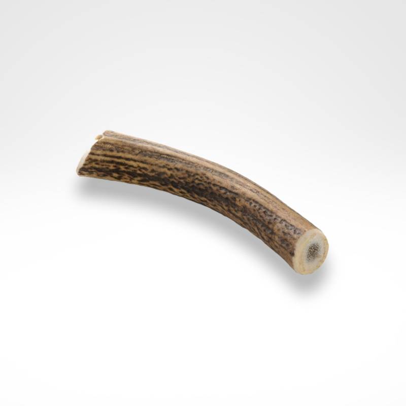 Hirschgeweih für Hunde - Naturbelassener und langanhaltender Kauspaß mit hohem Mineraliengehalt ab 44,29€ Hirschgeweih für Hunde - Naturbelassener und langanhaltender Kauspaß mit hohem Mineraliengehalt ab 44,29€ von dogisfaction