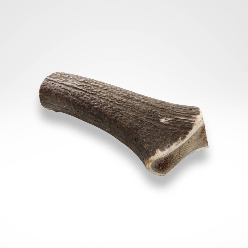 Hirschgeweih für Hunde - Naturbelassener und langanhaltender Kauspaß mit hohem Mineraliengehalt ab 91,99€ Hirschgeweih für Hunde - Naturbelassener und langanhaltender Kauspaß mit hohem Mineraliengehalt ab 91,99€ von dogisfaction