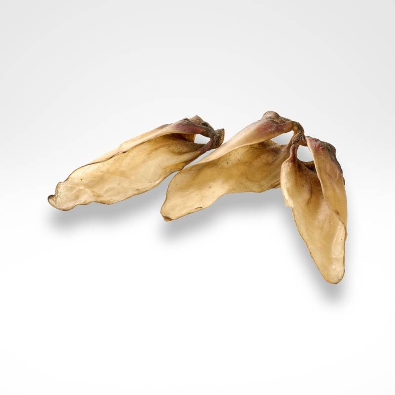 Kalbs-Ohren mit Muschelansatz - mittlere Größe für Hunde ab 13,99€ Kalbs-Ohren mit Muschelansatz - mittlere Größe für Hunde ab 13,99€ von dogisfaction