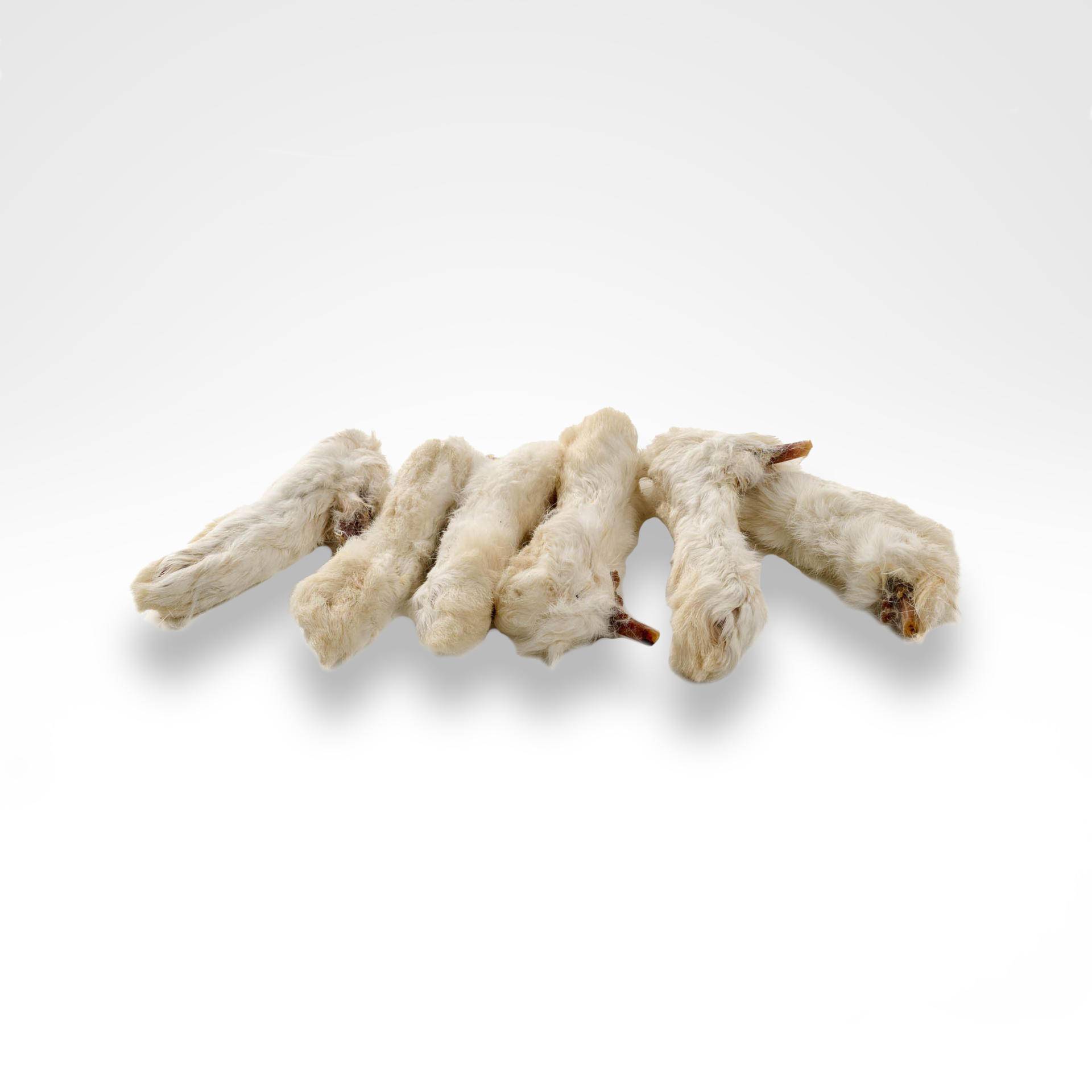 Kaninchenpfoten mit Fell für Hunde ab 10,49€ Kaninchenpfoten mit Fell für Hunde ab 10,49€ von dogisfaction