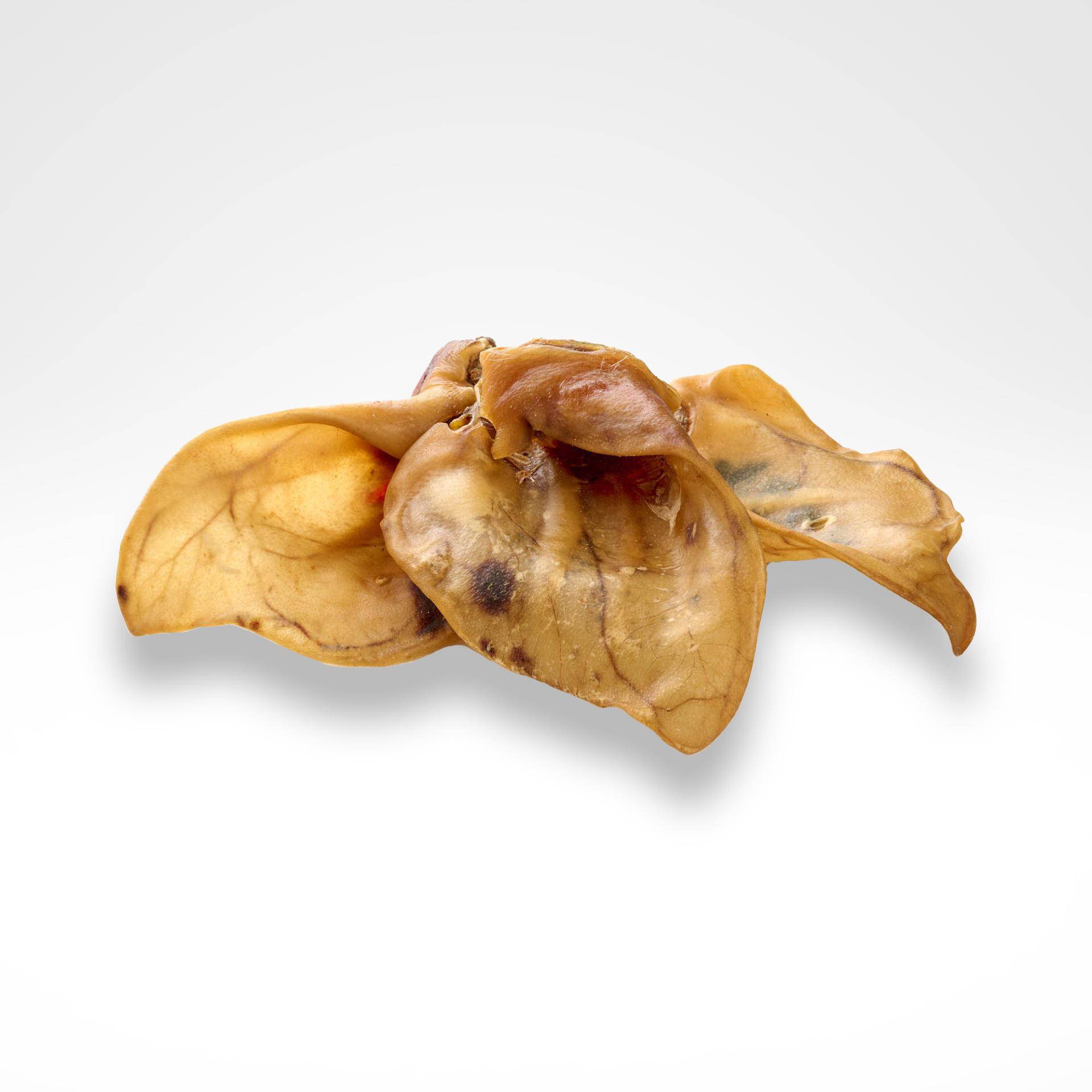 Schweine Ohren XXL - Maxiversion für grosse Fellnasen für Hunde ab 32,99€ Schweine Ohren XXL - Maxiversion für grosse Fellnasen für Hunde ab 32,99€ von dogisfaction