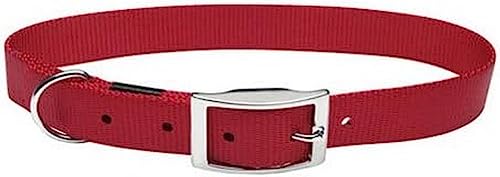 Dogit Hundehalsband, Nylon, doppellagig, mit Schnalle, Größe XL, 61 cm, Rot von dogit