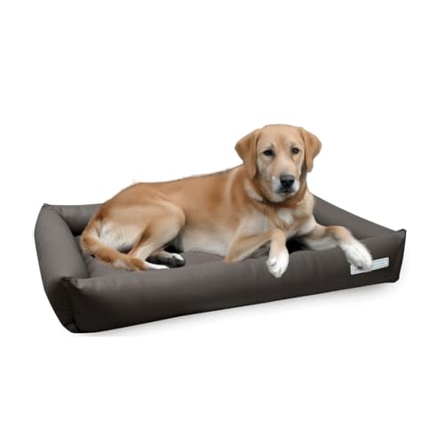 dogsfavorite Hundebett Starter Visco aus Kunstleder Taupe Gr. L 110 x 80 cm orthopädisch Hundekissen Hundesofa Hundebetten von dogsfavorite