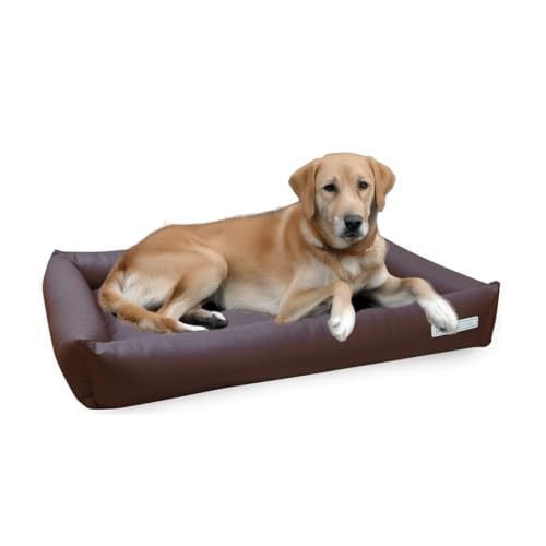 dogsfavorite Hundebett Starter Visco aus Kunstleder braun Gr. L 110 x 80 cm orthopädisch Hundekissen Hundesofa Hundebetten von dogsfavorite