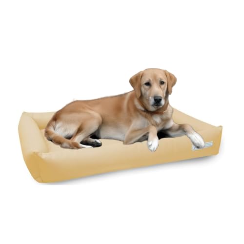 dogsfavorite Hundebett Starter aus Kunstleder Creme Gr. XL 120 x 90cm Hundekissen Hundesofa Hundebetten von dogsfavorite