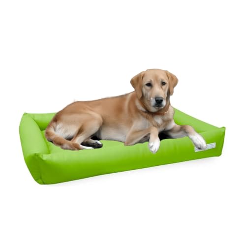 dogsfavorite, Hundebett Starter aus Kunstleder, Hundekissen, Pflegeleicht,110 x 80 cm, Limette von dogsfavorite