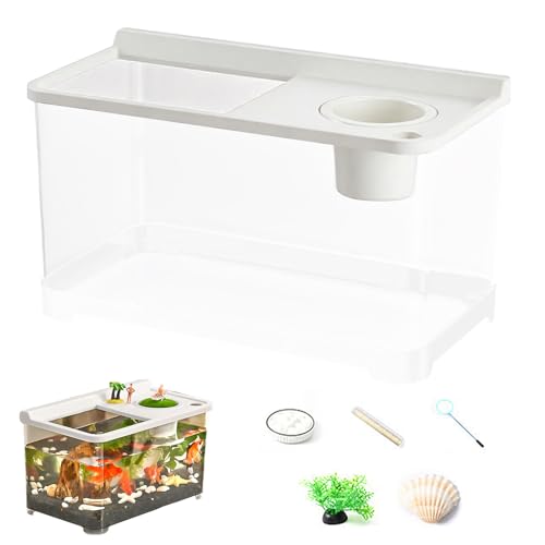 doyandader Betta Aquarium 3 Farbbeleuchtung, Landschaftsgestaltung Tank, 360° Sicht Aquarium Für Wohnzimmer Arbeitszimmer Schlafzimmer von doyandader