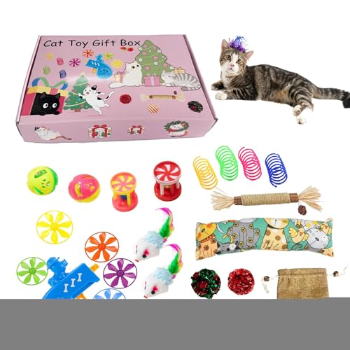 doyandader Katzenspielzeug Set - Spielzeugpaket Für Kätzchen,Für Innenbereich Interaktives Spiel Zur Zahnpflege Bewegung Gegen Langeweile Kleine Rassen doyandader Katzenspielzeug Set - Spielzeugpaket Für Kätzchen,Für Innenbereich Interaktives Spiel Zur Zahnpflege Bewegung Gegen Langeweile Kleine Rassen von doyandader