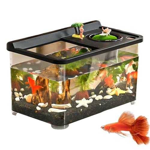 doyandader Kleines Aquarium Mit 3 Farben Beleuchtung,Haushalt Aquarium | 360° Sicht Für Wohnzimmer Arbeitszimmer Schlafzimmer doyandader Kleines Aquarium Mit 3 Farben Beleuchtung,Haushalt Aquarium | 360° Sicht Für Wohnzimmer Arbeitszimmer Schlafzimmer von doyandader