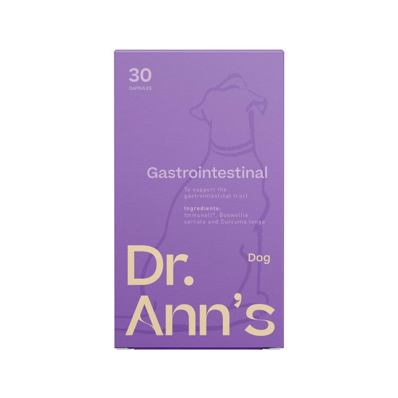 Dr. Ann's Gastrointestinal Support - 3 x 30 Kapseln von dr. Ann's