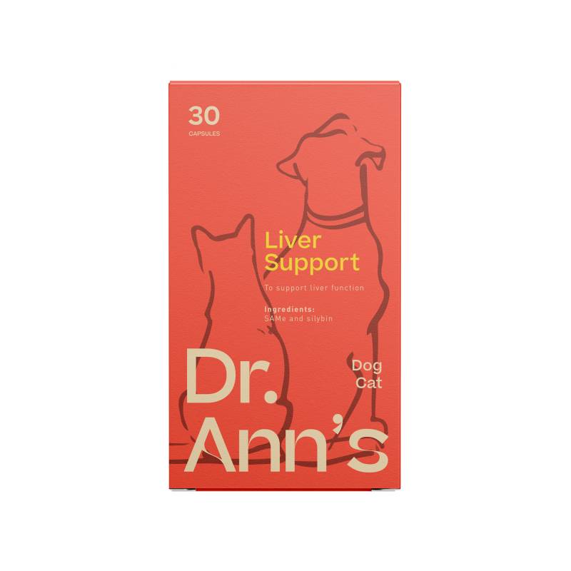 Dr. Ann's Liver Support - 3 x 30 Kapseln von Dr. Ann's