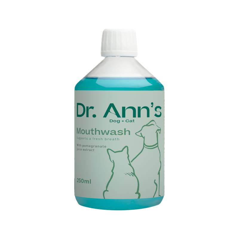 Dr. Ann's Mundwasser- 3 x 250 ml von Dr. Ann's