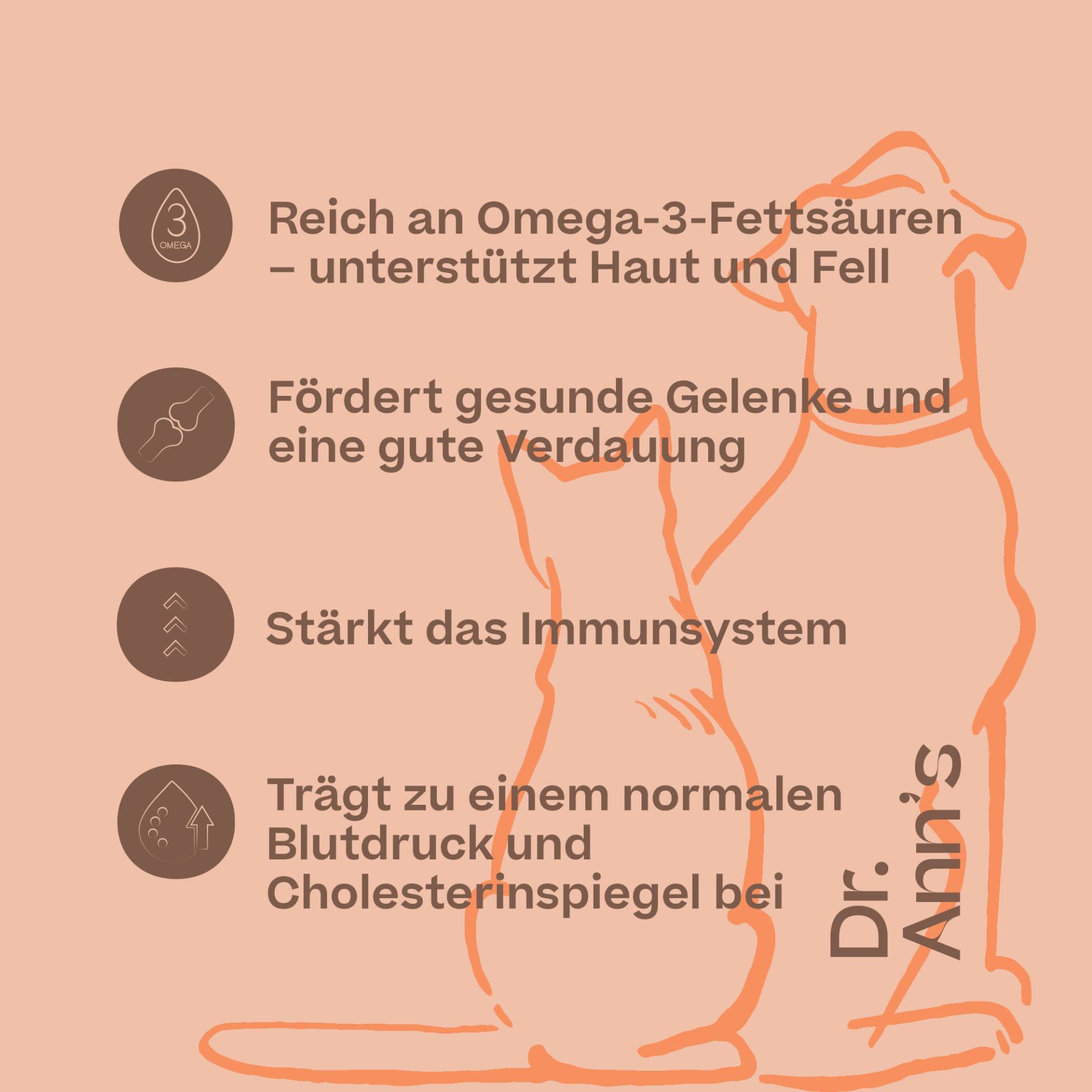 Dr. Ann's Salmon Oil - 3 x 250 ml von Dr. Ann's