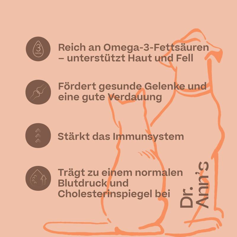 Dr. Ann's Salmon Oil - 3 x 250 ml von Dr. Ann's