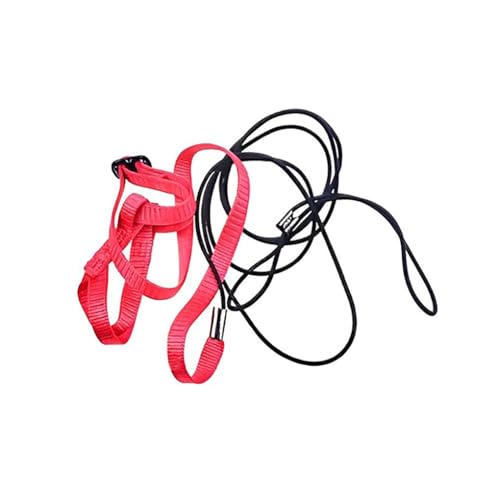 drburpily Pet Flying Leash Reisen Tragbarer Verstellbarer Tierbrustgurt, M drburpily Pet Flying Leash Reisen Tragbarer Verstellbarer Tierbrustgurt, M von drburpily