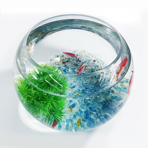 Mini-Aquarium-Starter-Set von driamor