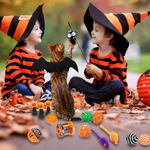 driattie Innenkatzen Interaktives Spielzeug | Haustier Bewegung Kick-Spielzeug Set - Katzenspielzubehör Für Wohnzimmer Zuhause Garten Terrasse driattie Innenkatzen Interaktives Spielzeug | Haustier Bewegung Kick-Spielzeug Set - Katzenspielzubehör Für Wohnzimmer Zuhause Garten Terrasse von driattie