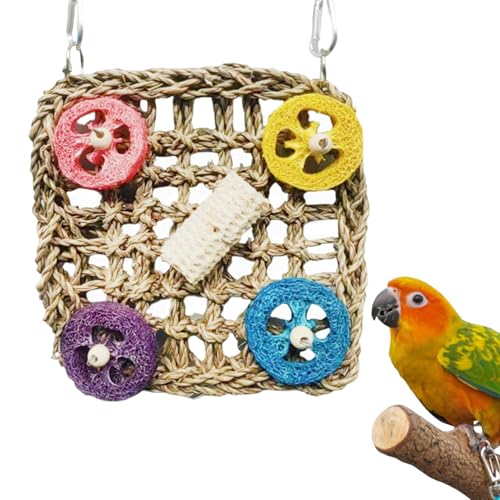 driattie Papageienspielzeug - Bunte Natürliche Vogelkäfig Spielzeuge | Kleintier Zubehör Für Spielplatz, Klettern, Futtersuche Im Innenkäfig, Außenvoliere Und Zuhause driattie Papageienspielzeug - Bunte Natürliche Vogelkäfig Spielzeuge | Kleintier Zubehör Für Spielplatz, Klettern, Futtersuche Im Innenkäfig, Außenvoliere Und Zuhause von driattie