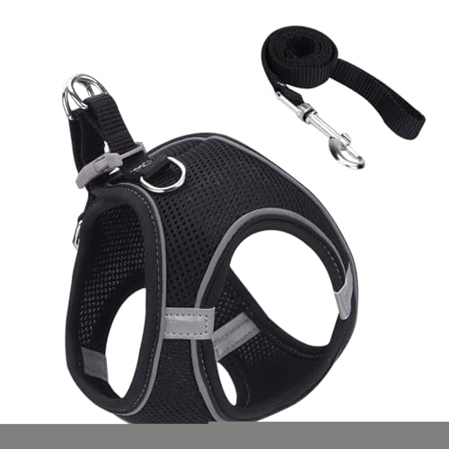 driattie Reise Katzengeschirr, Katzengeschirr mit Leine, Haustier Zubehör Für Sicherheit Training Reisen Wandern Rucksack Outdoor Abenteuer driattie Reise Katzengeschirr, Katzengeschirr mit Leine, Haustier Zubehör Für Sicherheit Training Reisen Wandern Rucksack Outdoor Abenteuer von driattie