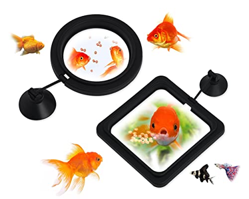 DS. Distinctive Style Fish Feeding Ring 2 Pieces Aquarium and Tank Floating Rings Food Feeders with Suction Cup von ds. distinctive style