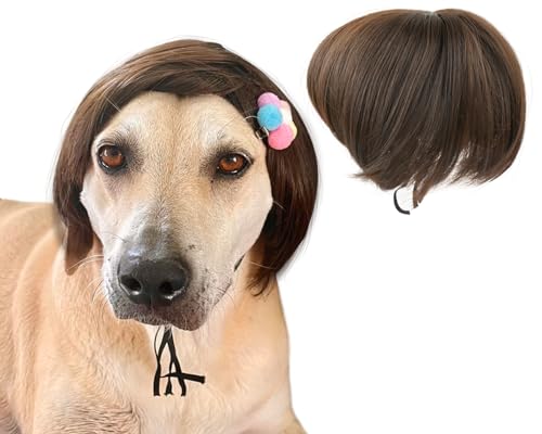 ds. distinctive style Lustige DIY-Hundeperücke Verstellbare Haustier-Perücke für Kleine bis Mittelgroße Hunde ds. distinctive style Lustige DIY-Hundeperücke Verstellbare Haustier-Perücke für Kleine bis Mittelgroße Hunde von ds. distinctive style