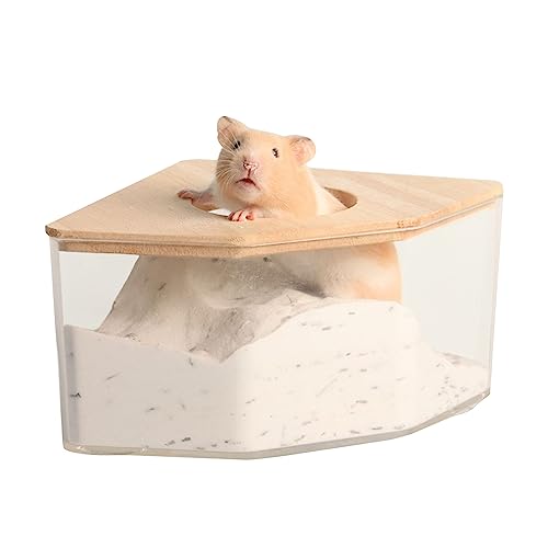 Spielzeug Hamster Sandbadbehälter 5.91X5.91X3.15 Zoll Hamster Toilettenbox Kleines Bad für syrische Rennmäuse Zwerg Meerschweinchen Ratten Mäuse von dsbdrki