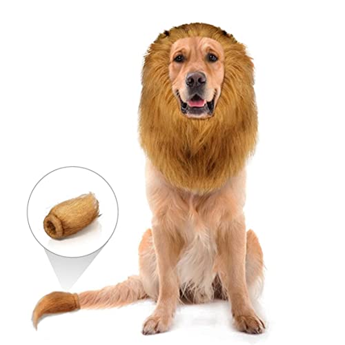 dsbdrki Hundeperücke Hund Löwenmähne, lustiges Hund Kostüm, einstellbare Löwe Mähne für Hund komplementäre Halloween Lion Kostüme mit Ohren Hund Perücke für mittelgroße oder große Hunde von dsbdrki