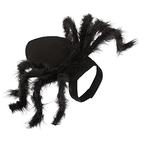 dsbdrki Kragen Halloween Pet Spider Kostüm Cosplay schrecklicher Riese Pelzige Katze Kleid Accessoire S von dsbdrki