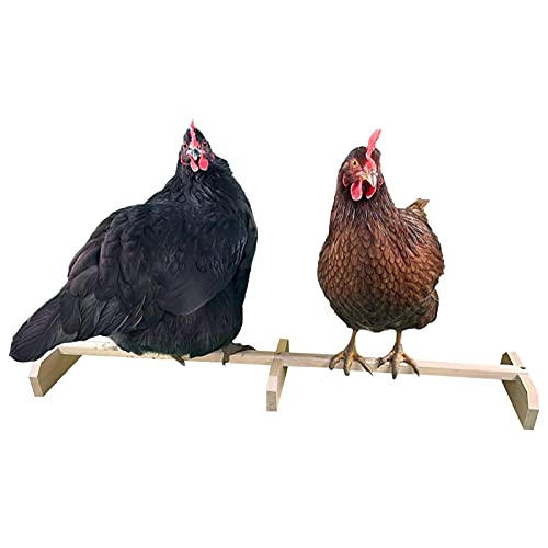 duhe189014 Hühnchen-Ruhe-Bar, Henne stehend Solider Stabiler Holzrahmen, Hühnchen-Barsch-Ständer-Spielzeug für große Vogel-Baby-Küken von duhe189014