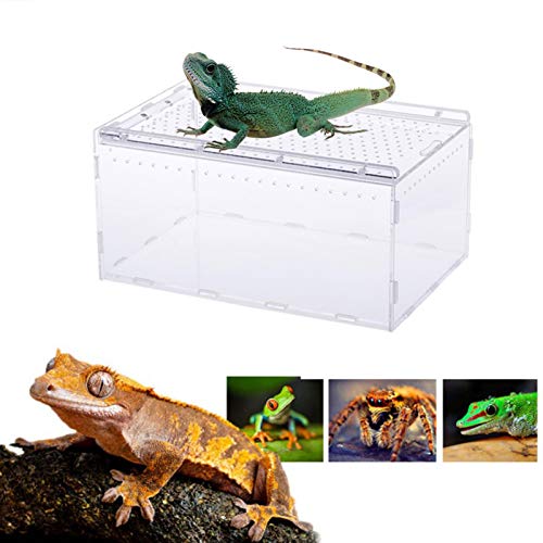 duhe189014 Reptilienzuchtbox Transparente Panorama-Insektenfutterbox Für Snake Spider Lizard Scorpion Centipede von duhe189014