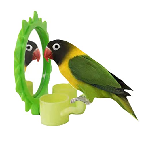 duhe189014 Vogelspiegel, ABS-Vogelfutter, mit Abtropfschale und Bechern, zum Aufhängen von Papageien, Schaukel, Beobachtungsspielzeug für Vogelbesitzer (grün) von duhe189014