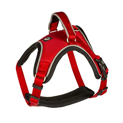 duvoplus, Bequemes und zeitgenössisches Geschirr, Serie EXPLOR West, Robustes und wasserdichtes Geschirr, Größe 30 – 40 cm/15 mm, rot, wasserfest, langlebige Qualität, ideal für Spaziergänge duvoplus, Bequemes und zeitgenössisches Geschirr, Serie EXPLOR West, Robustes und wasserdichtes Geschirr, Größe 30 – 40 cm/15 mm, rot, wasserfest, langlebige Qualität, ideal für Spaziergänge von Duvoplus