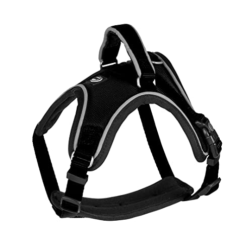 duvoplus, Bequemes und zeitgenössisches Geschirr, Serie EXPLOR West, Robustes und wasserdichtes Geschirr, Größe 30 – 40 cm/15 mm, schwarz, wasserfest, langlebige Qualität, ideal für Spaziergänge duvoplus, Bequemes und zeitgenössisches Geschirr, Serie EXPLOR West, Robustes und wasserdichtes Geschirr, Größe 30 – 40 cm/15 mm, schwarz, wasserfest, langlebige Qualität, ideal für Spaziergänge von Duvoplus