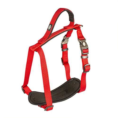 duvoplus, Bequemes und zeitgenössisches Geschirr, Serie Explor North, Größe 30 – 40 cm/15 mm, Rot, ideal für Spaziergänge und abenteuerliche Expeditionen, wetterfest duvoplus, Bequemes und zeitgenössisches Geschirr, Serie Explor North, Größe 30 – 40 cm/15 mm, Rot, ideal für Spaziergänge und abenteuerliche Expeditionen, wetterfest von Duvoplus