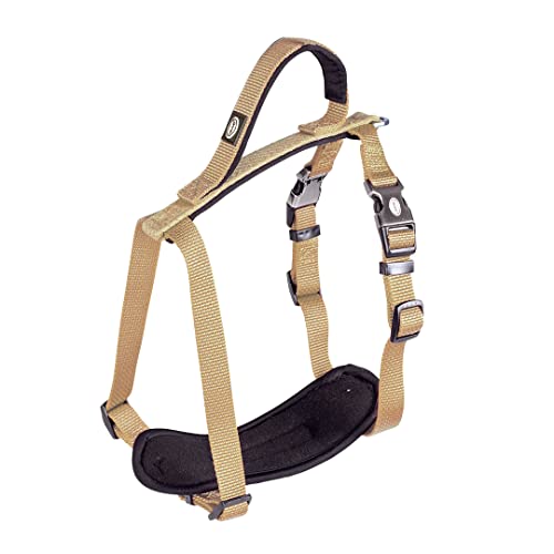 duvoplus, Bequemes und zeitgenössisches Geschirr aus der Reihe Explor North, Größe 40 – 50 cm/15 mm, Taupe, ideal für Spaziergänge und Abenteuer, wetterfest duvoplus, Bequemes und zeitgenössisches Geschirr aus der Reihe Explor North, Größe 40 – 50 cm/15 mm, Taupe, ideal für Spaziergänge und Abenteuer, wetterfest von Duvoplus