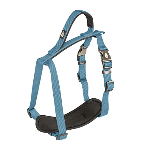 duvoplus, Bequemes und zeitgenössisches Geschirr aus der Reihe Explor North, Größe 80 – 100 cm/25 mm, Petroleum, ideal für Spaziergänge und Abenteuer, wetterfest duvoplus, Bequemes und zeitgenössisches Geschirr aus der Reihe Explor North, Größe 80 – 100 cm/25 mm, Petroleum, ideal für Spaziergänge und Abenteuer, wetterfest von Duvoplus