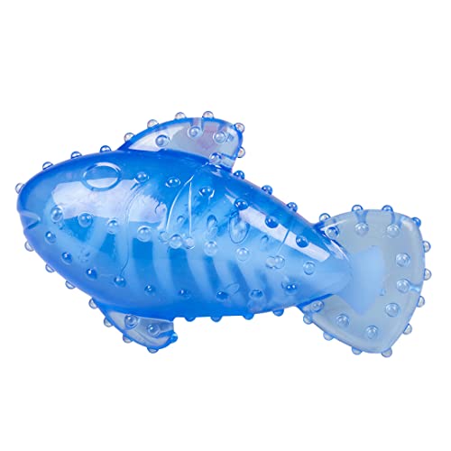 duvoplus, Chew `N Play Fish 16,7 x 9,9 x 6 cm Blau, Spielzeug, Blau, Hund von Duvoplus