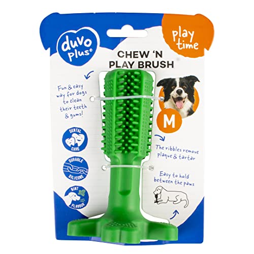 duvoplus, Chew `n Play Brush M – 14,5 x 9 x 9 cm, Grün, Spielzeug, Grün, Hund von Duvoplus