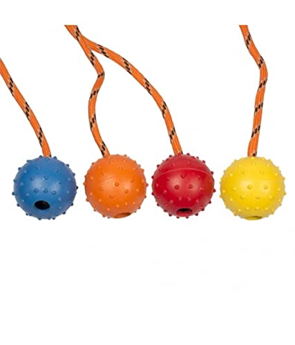duvoplus, Dogtoy Dental Ball mit Seil Mix 33 cm, Spielzeug, Hund von Duvoplus