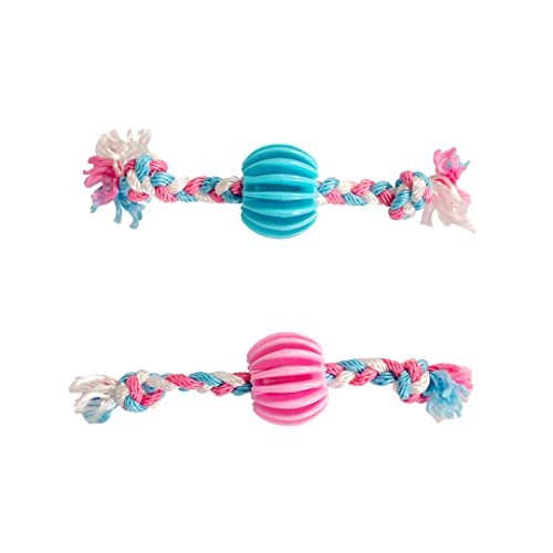 duvoplus, Dogtoy Puppy TPR Snack Ball mit Nylonseil, 30 cm, Spielzeug, Hund duvoplus, Dogtoy Puppy TPR Snack Ball mit Nylonseil, 30 cm, Spielzeug, Hund von Duvoplus