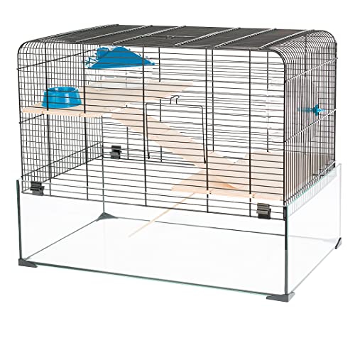 duvoplus, Habitat für Nagetiere Glassy Glenn 59 x 38 x 47 cm, Mehrfarbig, Nagetiere, Mehrfarbig duvoplus, Habitat für Nagetiere Glassy Glenn 59 x 38 x 47 cm, Mehrfarbig, Nagetiere, Mehrfarbig von Duvoplus