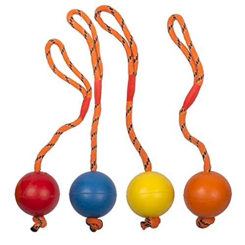 duvoplus, Gummiball mit Seil Mix 30 cm – Ø 6 cm gemischte Farben, Spielzeug, Hund duvoplus, Gummiball mit Seil Mix 30 cm – Ø 6 cm gemischte Farben, Spielzeug, Hund von Duvoplus
