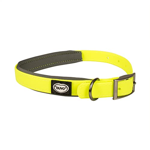 duvoplus, Hundehalsband, wasserfest, aus Neopren, Größe 40 – 65 cm, Neongelb, ideal für abenteuerliche Spaziergänge und Expeditionen duvoplus, Hundehalsband, wasserfest, aus Neopren, Größe 40 – 65 cm, Neongelb, ideal für abenteuerliche Spaziergänge und Expeditionen von Duvoplus