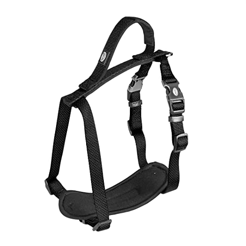 duvoplus, Komfortables und zeitgenössisches Geschirr, Serie EXPLOR North, Größe 50 – 65 cm/20 mm, Schwarz, ideal für Spaziergänge und abenteuerliche Expeditionen, wetterfest duvoplus, Komfortables und zeitgenössisches Geschirr, Serie EXPLOR North, Größe 50 – 65 cm/20 mm, Schwarz, ideal für Spaziergänge und abenteuerliche Expeditionen, wetterfest von Duvoplus
