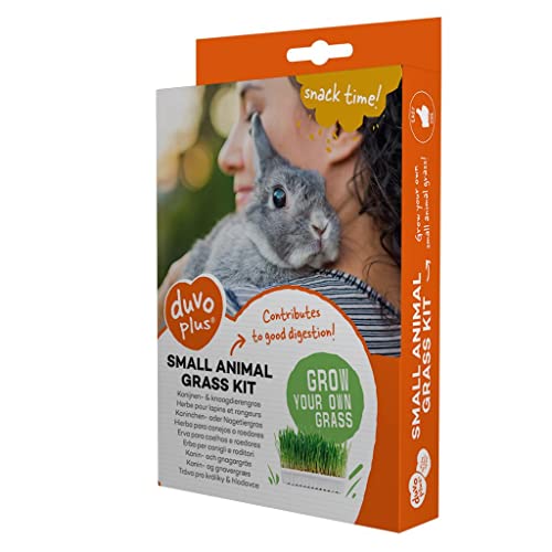 duvoplus, Gras für Kaninchen und Nagetiere, 70 g, 17,5 x 13 x 3 cm, Nagetiere, Nagetiere duvoplus, Gras für Kaninchen und Nagetiere, 70 g, 17,5 x 13 x 3 cm, Nagetiere, Nagetiere von Duvoplus