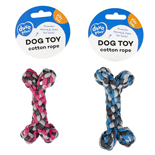 duvoplus, Seil aus Baumwolle, Knochen, 8 cm, Blau/Rosa, Spielzeug, Blau/Rosa, Hund von Duvoplus