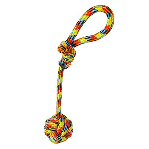 duvoplus, Seil aus Baumwolle mit Ball und Schnalle, Beach, 54 cm, Spielzeug –, Hund von Duvoplus